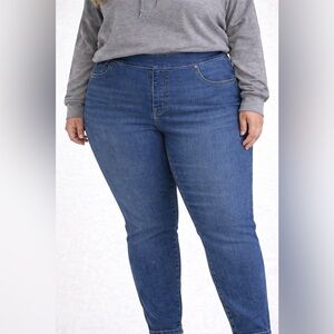 Terra & Sky Women’s Plus Skinny Jeans 3X 24W–26W Stretch